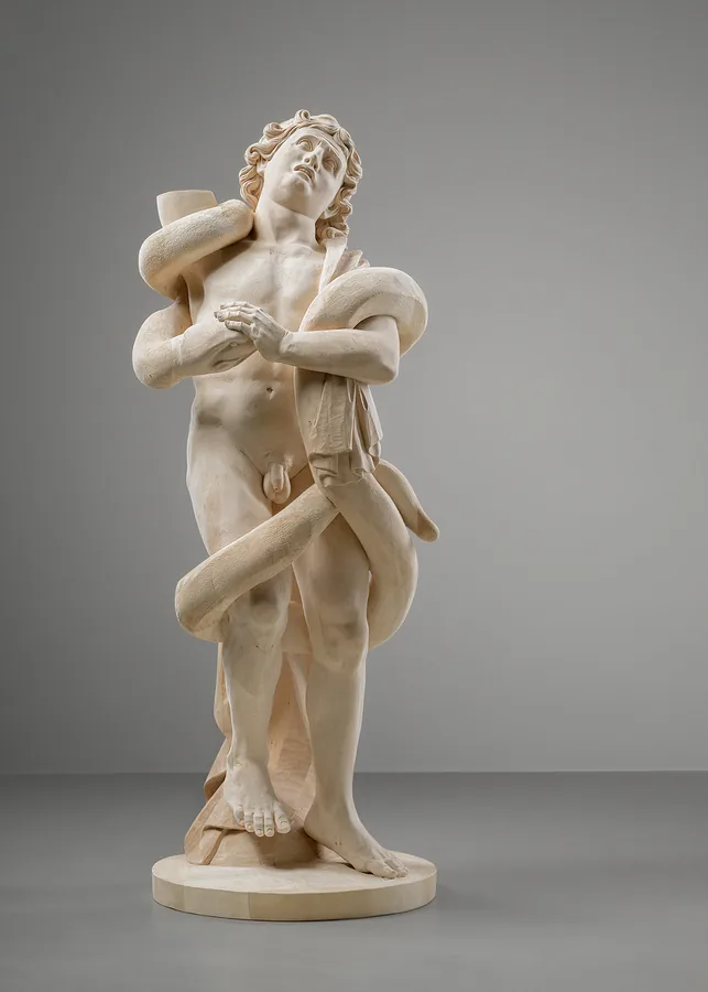 Laocontide — Linde · 120 cm