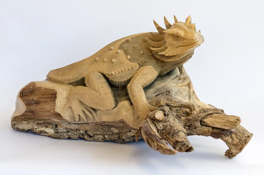 Iguana — Holz