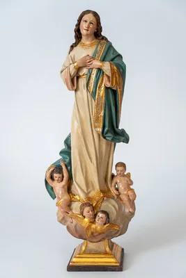 Immaculata — Zirbelkiefer · 55 cm